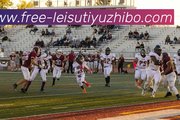 雷速体育直播平台生态图